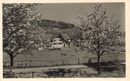 Landschaft bei Birmensdorf (Zürich)