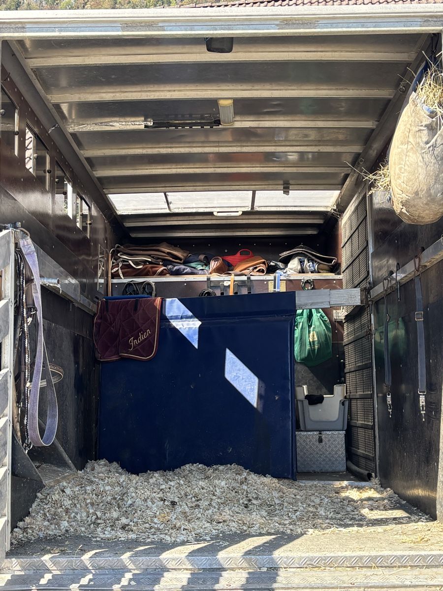 Iveco Veicoli commerciali: Pferdetransporter Iveco – Usato da Balsthal venduto da Mluethi 3