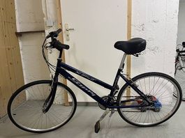 Velo Frau