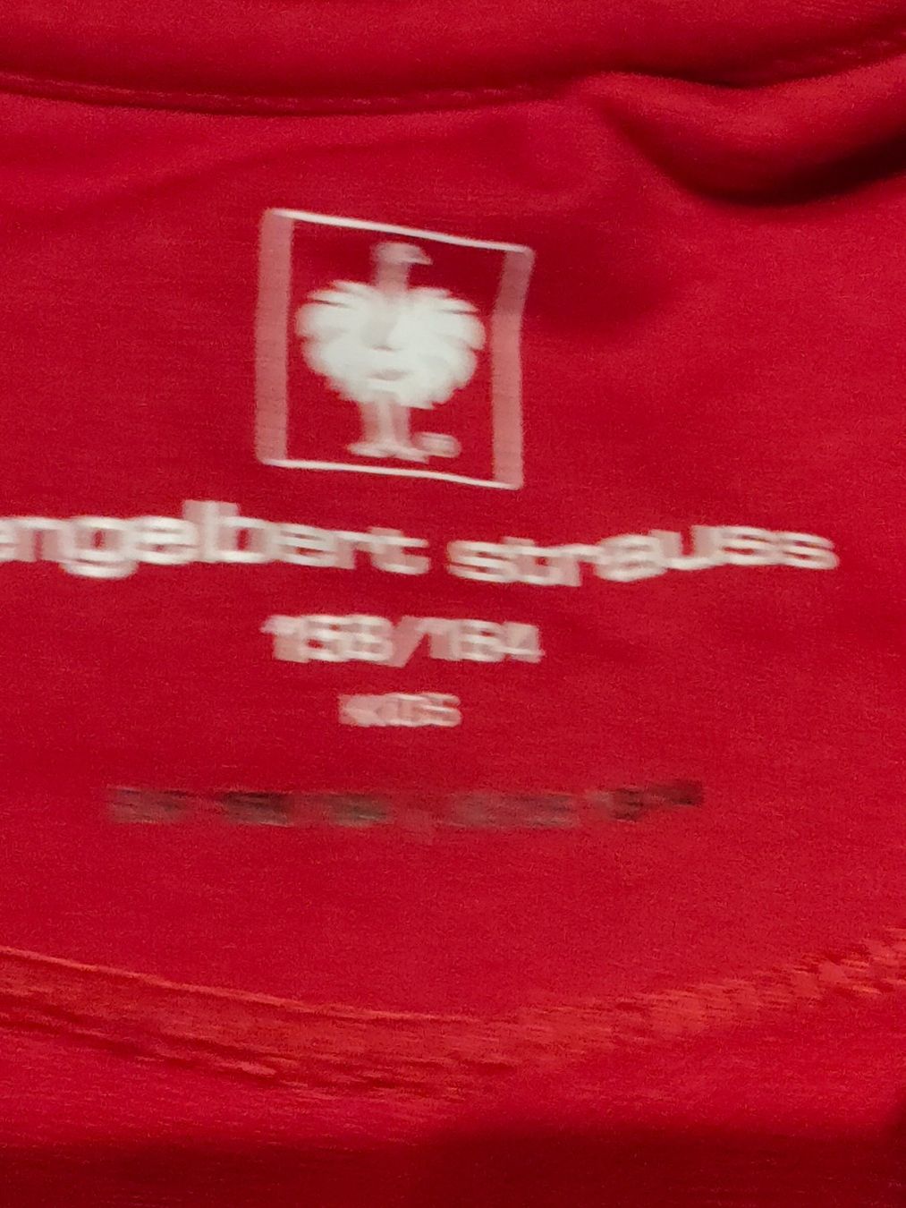 Engelbert Strauss Pullover & Sweatshirts: Engelbert Strauss Pullover – Neu (gemäss Beschreibung) aus Scheunen von klare2 2