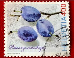  Nr.1213  Hauszwetschge GESTEMPELT    Siehe Original Fotos