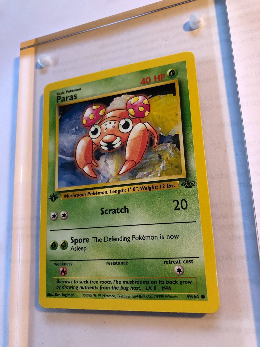 Sammelbilder & Trading cards: Paras 1st Jungle - LP - ab 1.- – Gebraucht aus Giubiasco von dan_pr8b 2