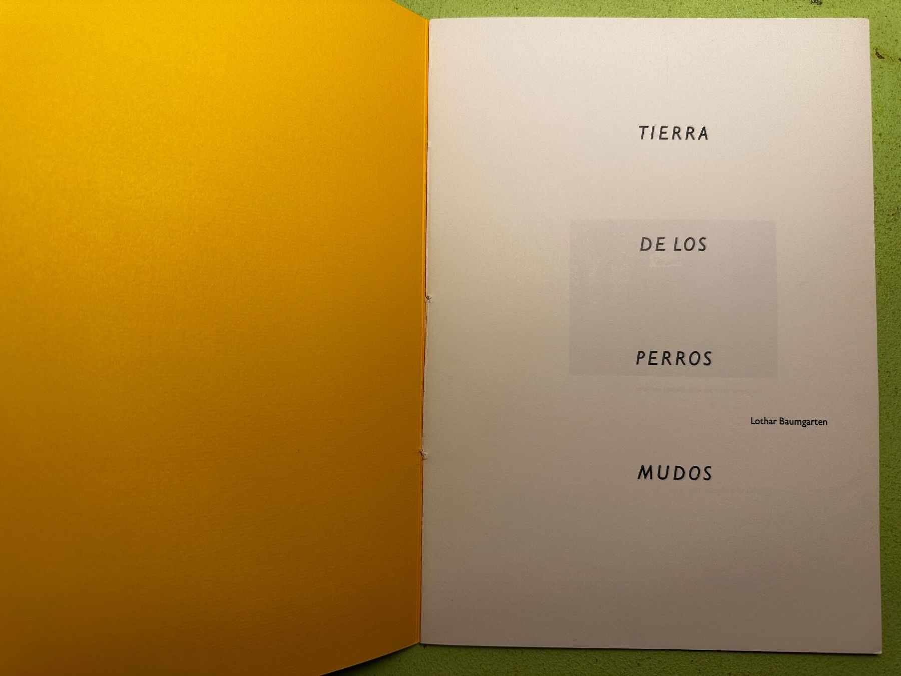 Libri: Lothar Baumgarten: Tierra de los perros mudos. d 1985 – Usato da Zürich venduto da allp 1
