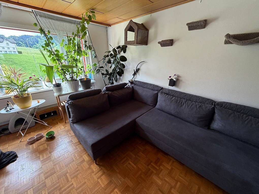 Divani: Grosses Sofa in U-Form – Usato da Herisau venduto da anker77 1