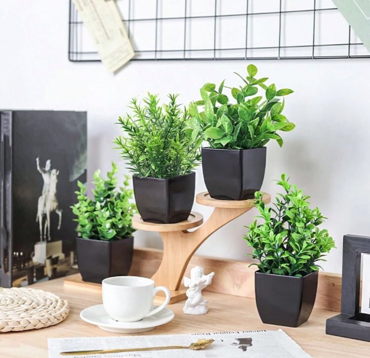 Piante & sementi: Set de 4 plantes artificielles – Nuovo e nell'imballaggio originale da Châtel-St-Denis venduto da Montclair_Swiss