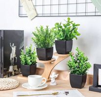 Set de 4 plantes artificielles