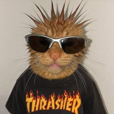 Profile image of joelfs16