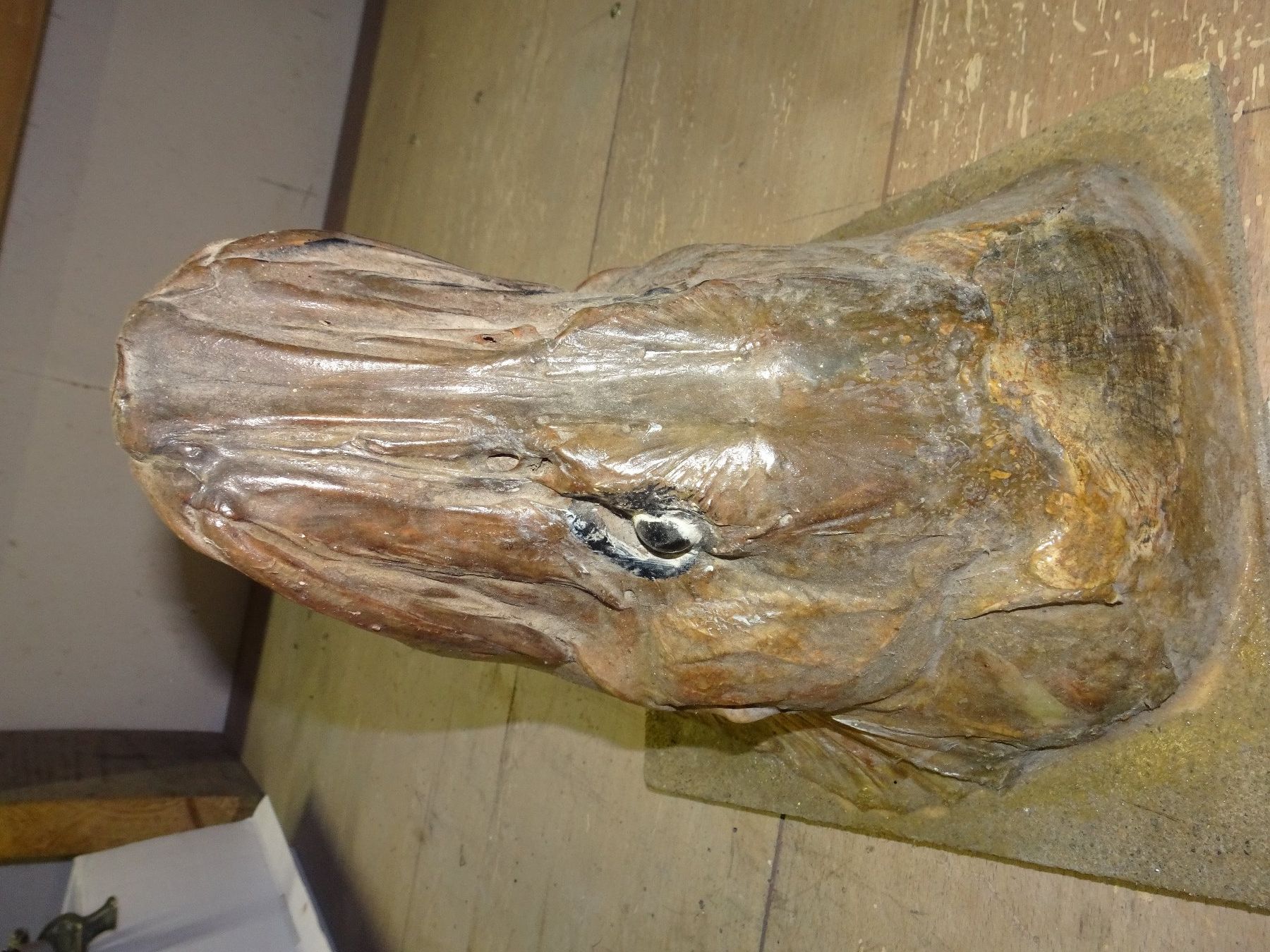 Statuette: Fischkopf – Usato da Bichwil venduto da Silbereule9 3