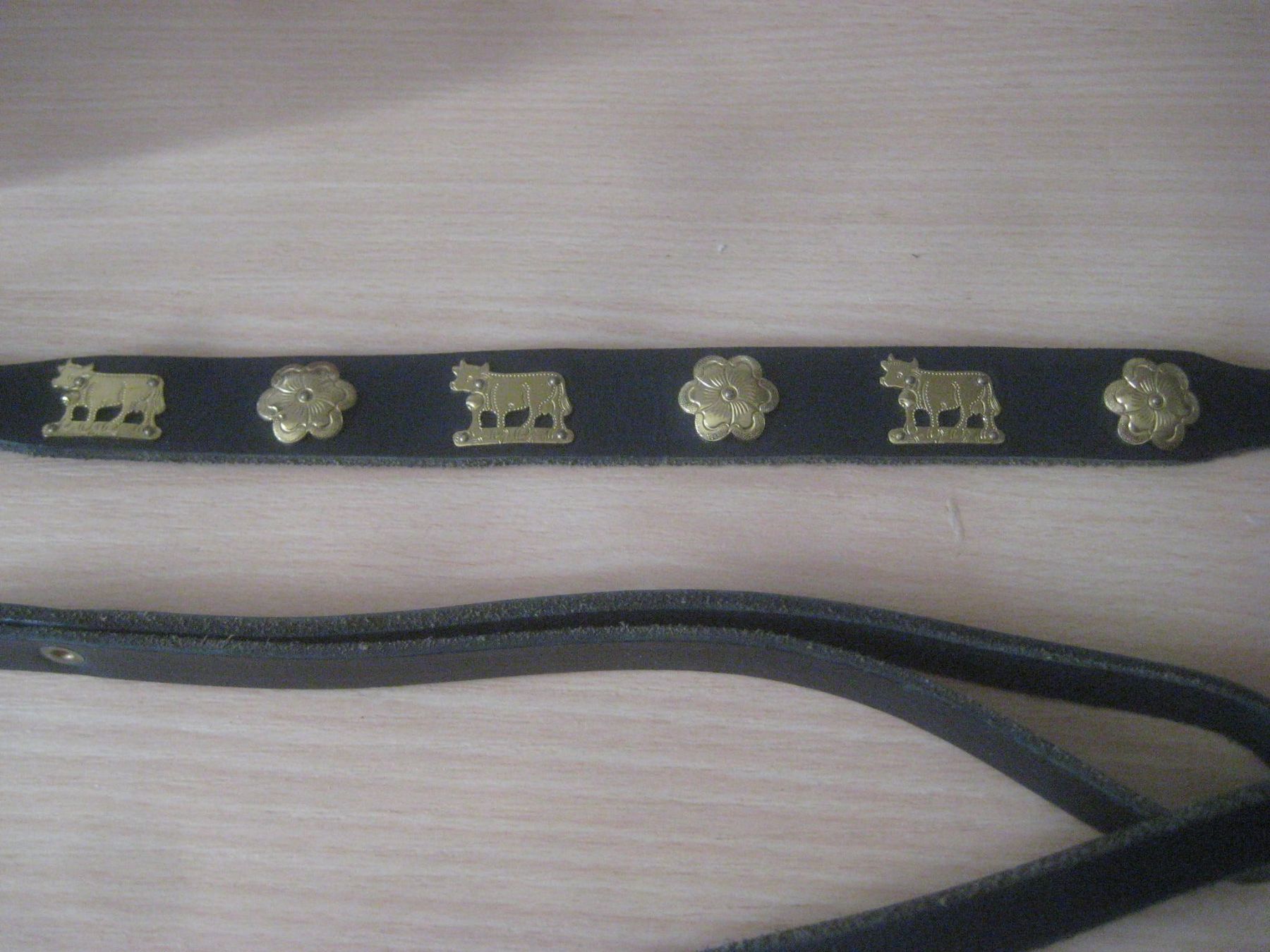 Collier et laisse: HUNDE LEINE – D'occasion à Uster par flocke1 2