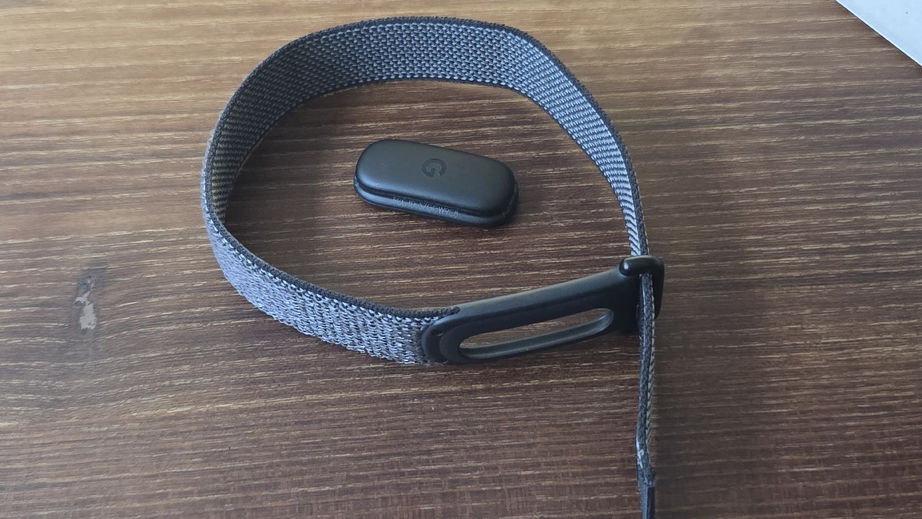 Google Smartwatch: Google Fitbit Air – Usato da Schönenbuch venduto da garampolos 1