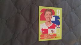 Panini WM 2026 - KRO 8