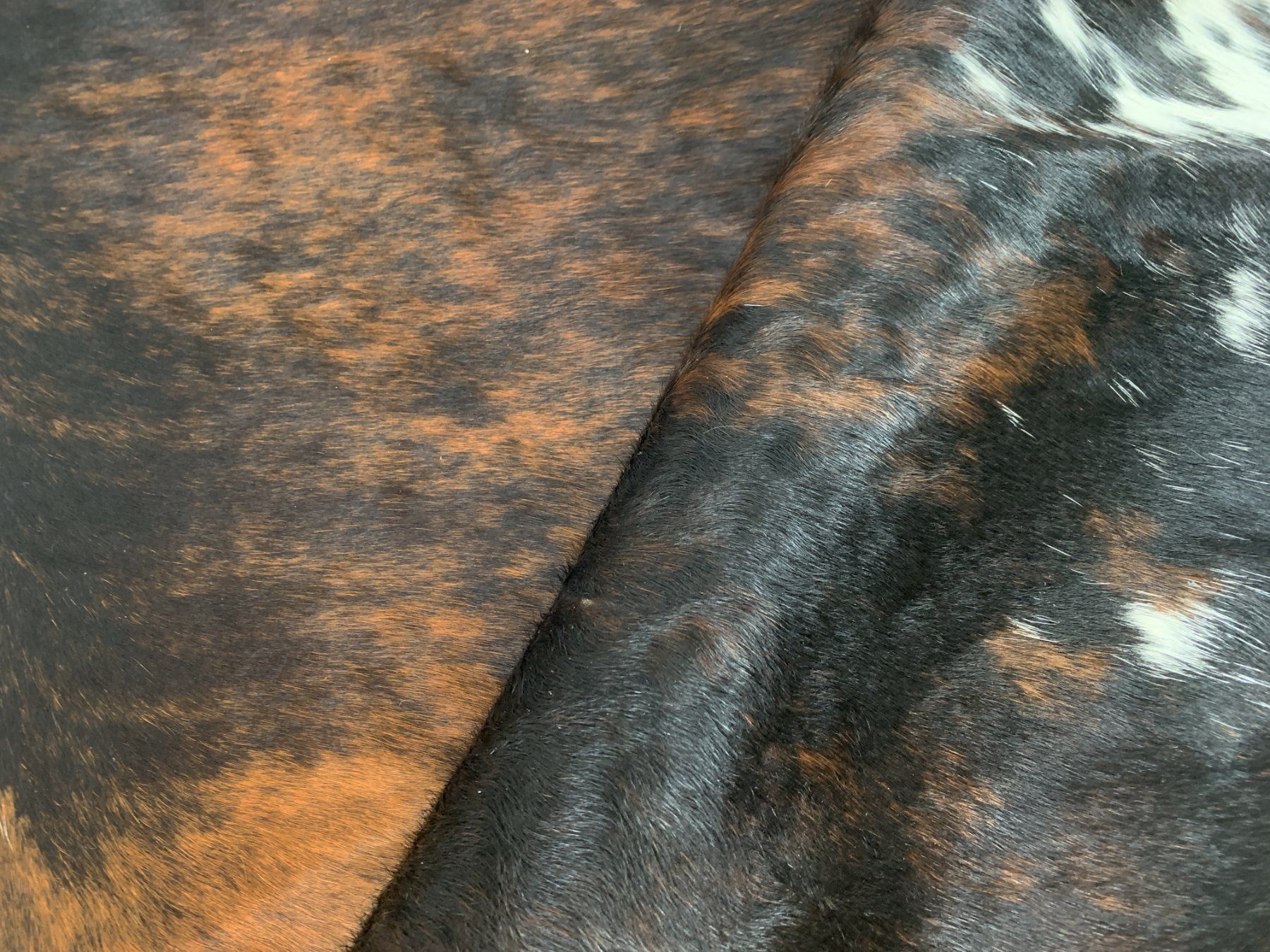 Tappeti: echtes Kuhfell Teppich exotic tricolor – Nuovo e nell'imballaggio originale da Arbedo venduto da patagonialeatherrugs 2
