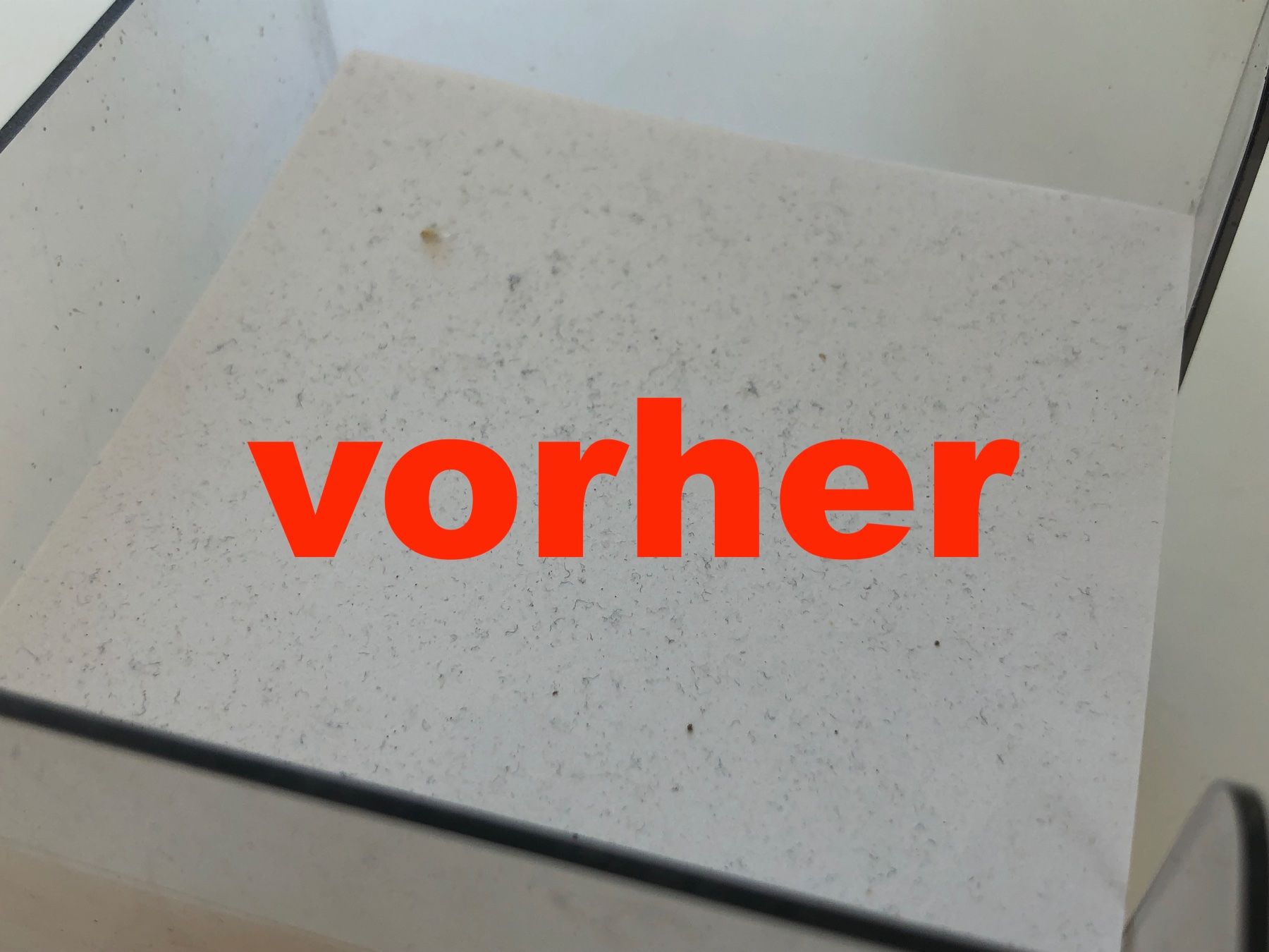 Sonstiges für Haushalt & Wohnen: Dreckentferner / Haarentferner – Neu und originalverpackt aus Wettingen von Chnoelleli 1