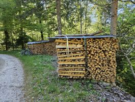 Brennholz, Cheminéeholz, Holz, trocken, sehr günstig!