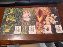 Cartes postales de Transkei avec timbres, collection.