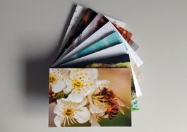 40 VORFRANKIERTE Postkarten A-Post Karten Briefmarken Brief