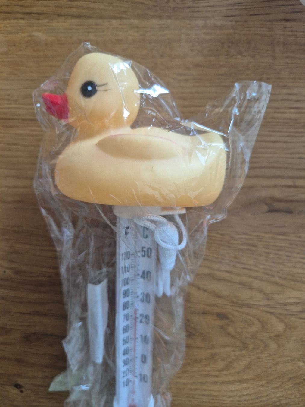 Altro per la casa: Geschenkidee Schwimmthermometer Pooltier  neu – Nuovo e nell'imballaggio originale da Urdorf venduto da villakagu 3