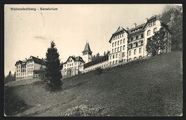 Wallenstadtberg, Feldpartie mit Blick zu