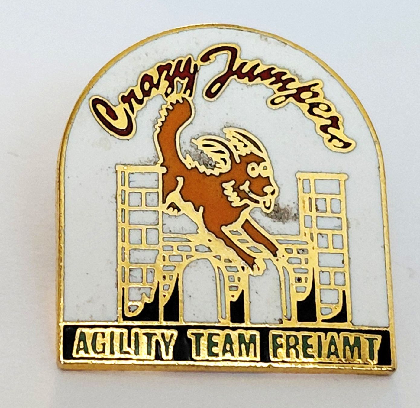Plaketten & Abzeichen: PIN Crazy Jumpers Freiamt – Gebraucht aus Luzern von qualifair
