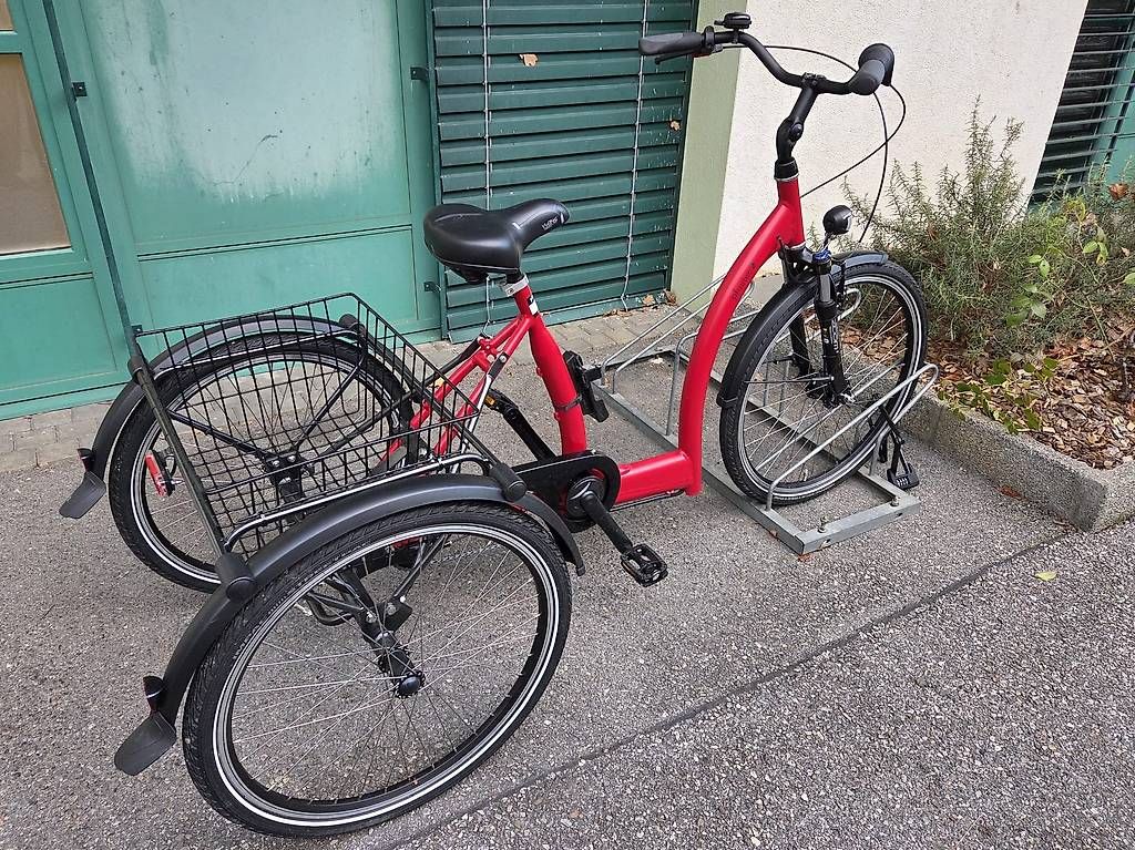 Biciclette: Tricycle Pfautec Lano – Usato da Champlan venduto da Sgosteli 1