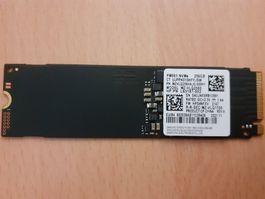 Samsung 256GB NVMe Notebook