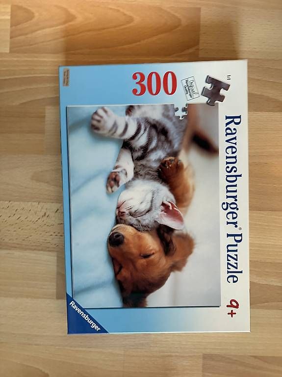 Puzzle: 300 Puzzel  – Usato da Bern venduto da anni2213