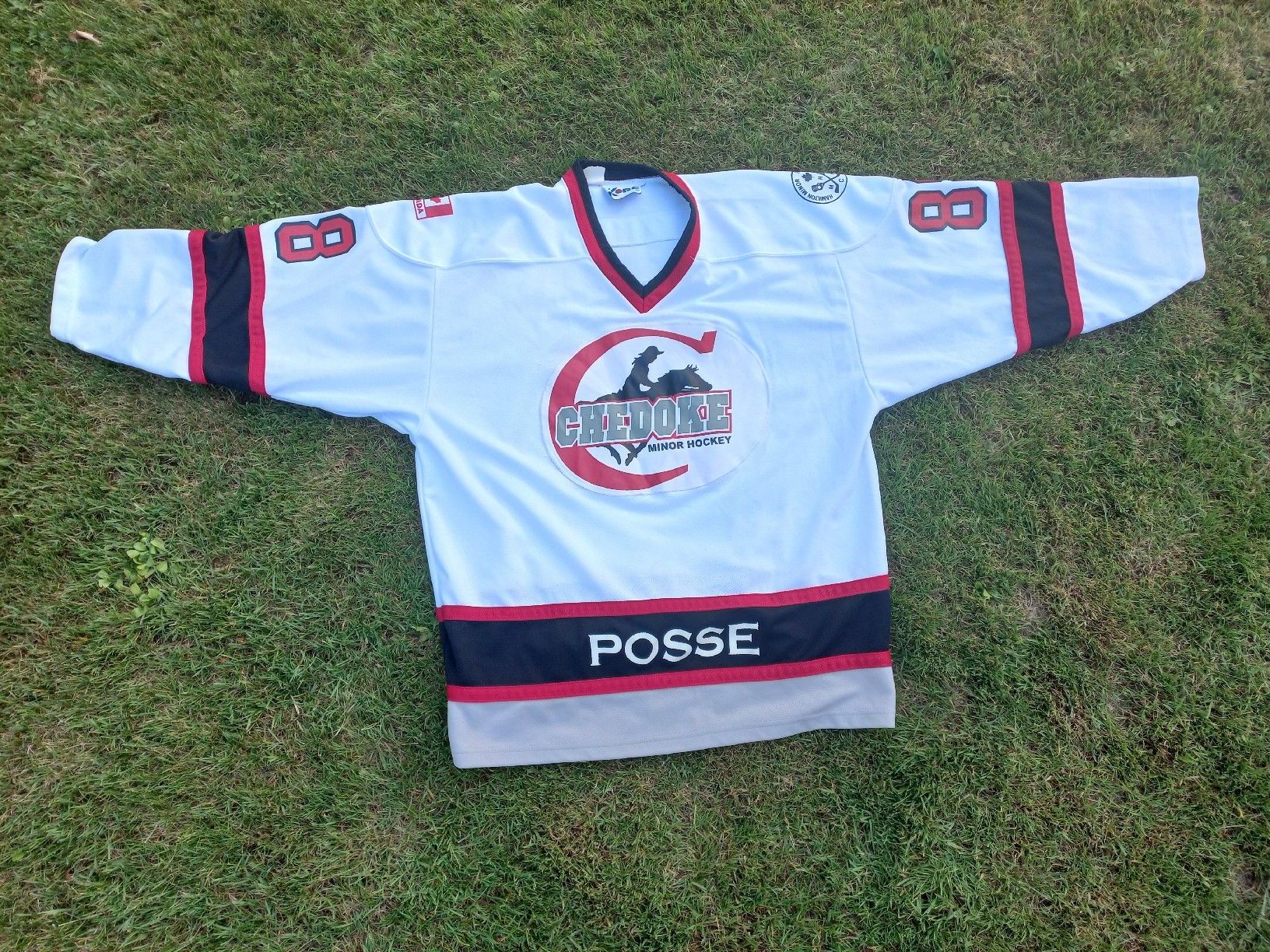 Canottiere & Pantaloni: Original Kanada Eishockey Trikot Chedoke #88 – Usato da Lachen SZ venduto da jimmygoal13