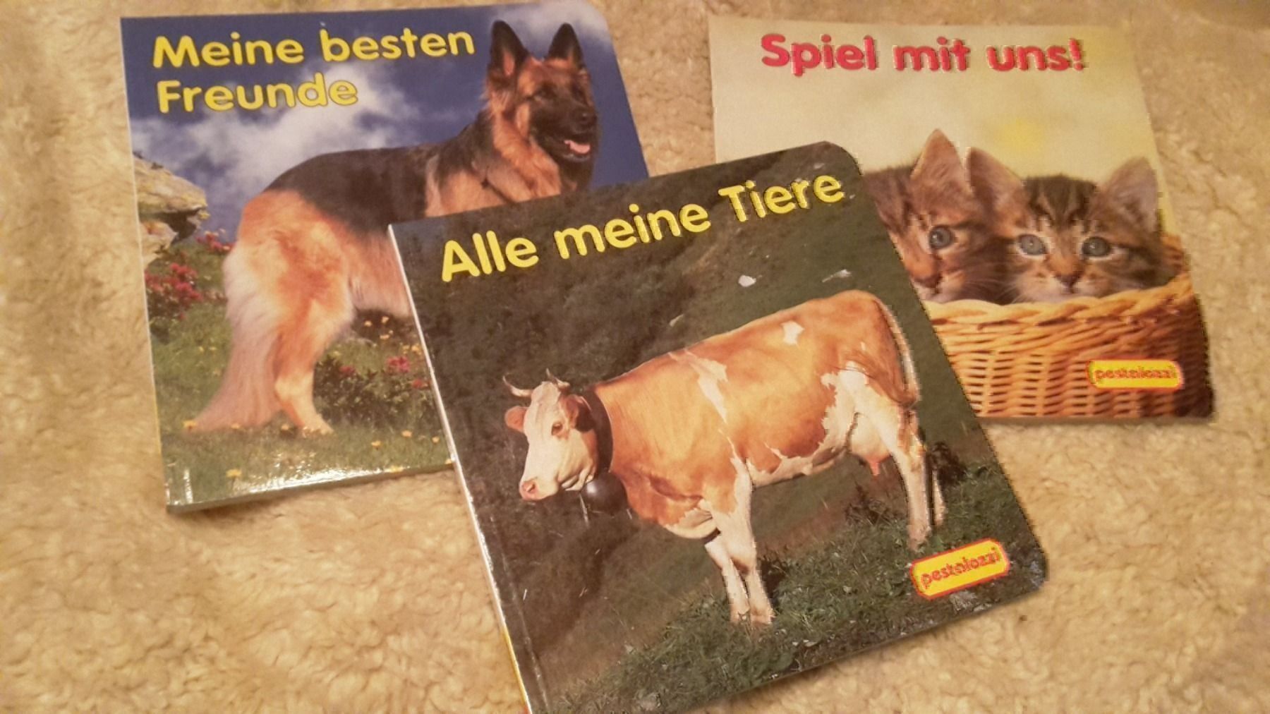 Livres: 3 Bilderbücher – Neuf (Voir description) à Schwarzenburg par Flamingo07