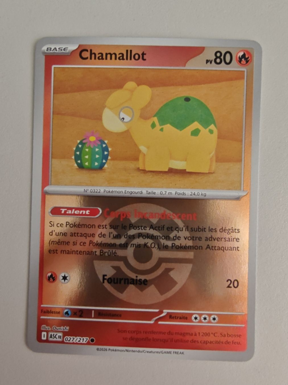 Pokémon Carte collezionabili: Chamallot Reverse (027/217) Héros Transcendants - ASC fr – Usato da Cormondreche venduto da pajojo