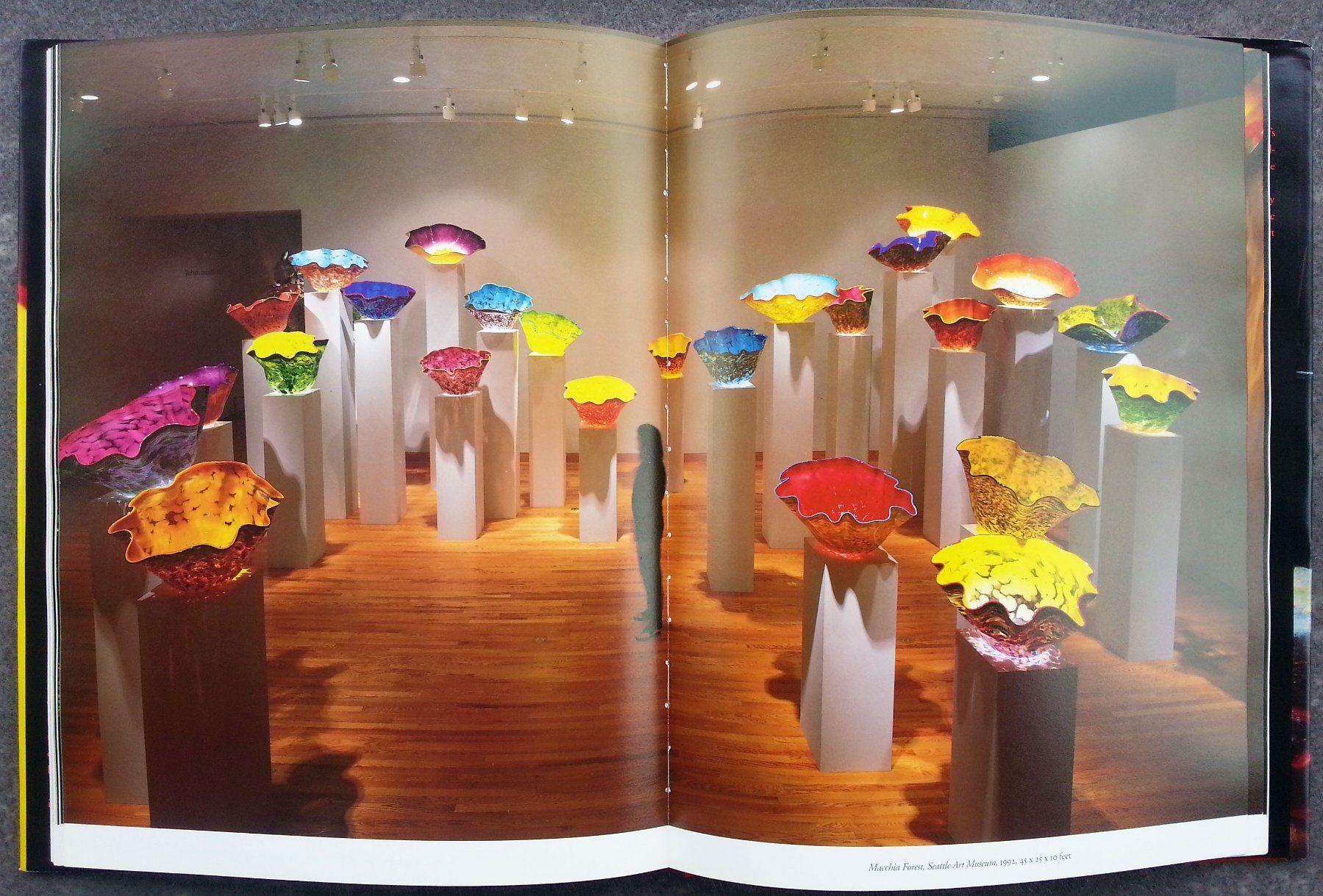 Livres: CHIHULY - FORM FROM FIRE - Glaskunst, signiert, 1993 – D'occasion à Oberriet SG par ganesh435 4