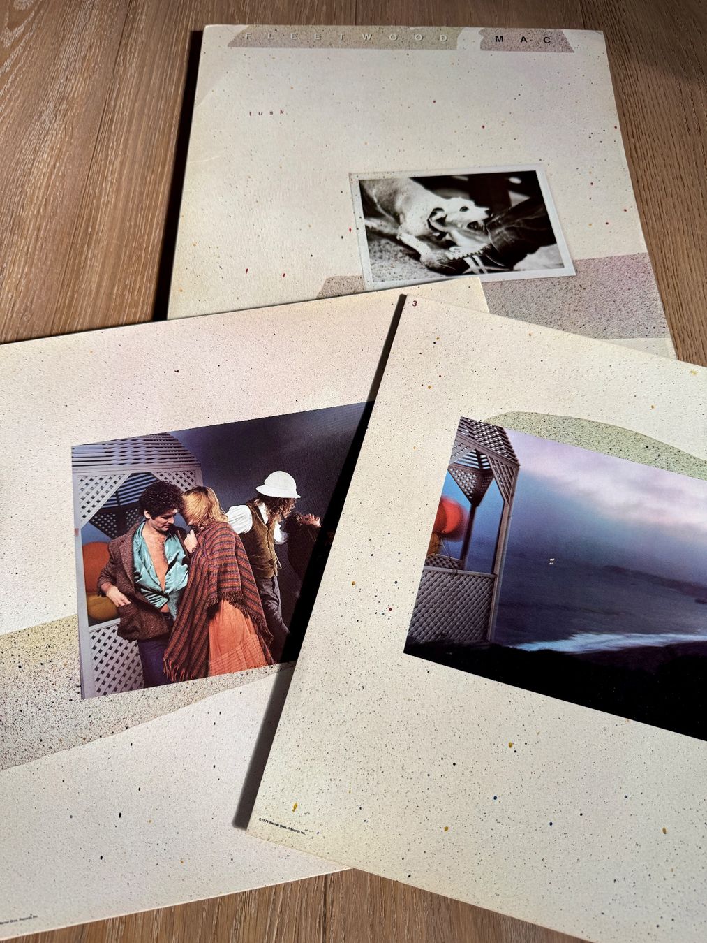 Dischi in vinile: FLEETWOOD MAC - Tusk - Doppel-LP - Vinyl – Usato da Rothrist venduto da Luckywinner 4
