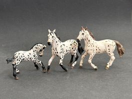 Papi Appaloosa Stute Fohlen  Pferd ähnlich wie Schleich