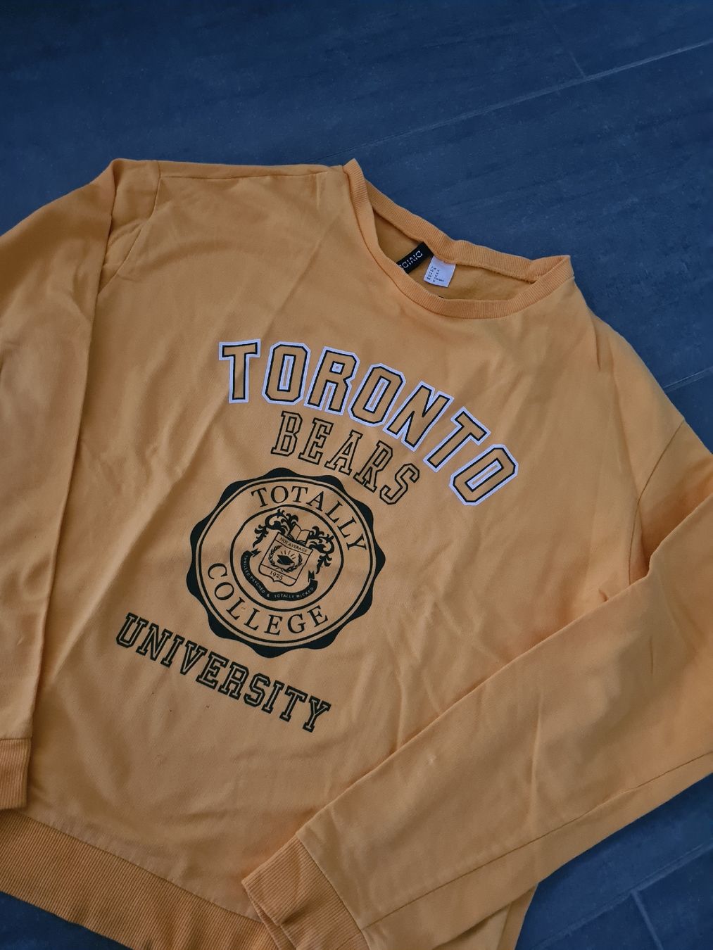 H&M T-shirt: H&M Divided Pulli gr.M – Usato da Mezzovico venduto da maemy 2