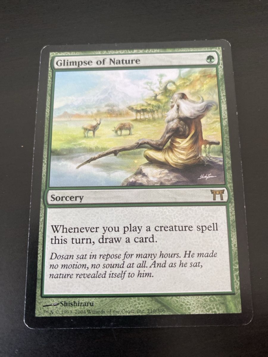 Magic The Gathering Carte collezionabili: Glimpse of Nature – Usato da Oberglatt ZH venduto da Finlandia1