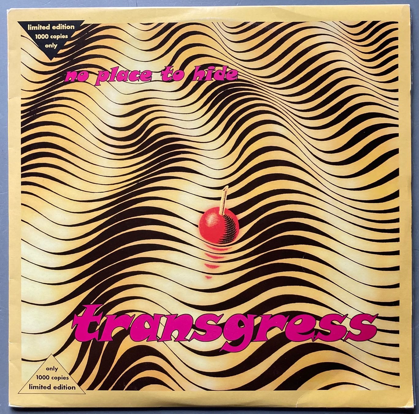 Vinyles: TRANSGRESS - NO PLACE TO HIDE – D'occasion à Poliez-Pittet par Newtown-Records 1