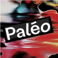 1 BILLET PALEO DIMANCHE / ADULTE / 26.07.2026