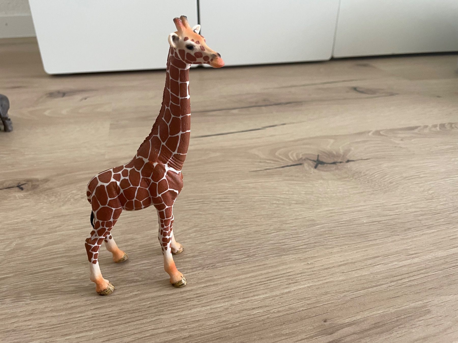 Schleich Statuette: 10 St Schleich Figuren ZOO – Usato da Menziken venduto da mti_7vqf 5
