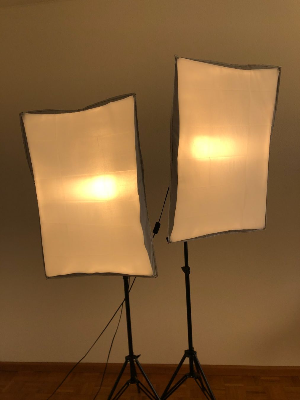 Lampen: 2er-Set LED-Softbox-Studioleuchten – Gebraucht aus Zürich von bus_xy27 2