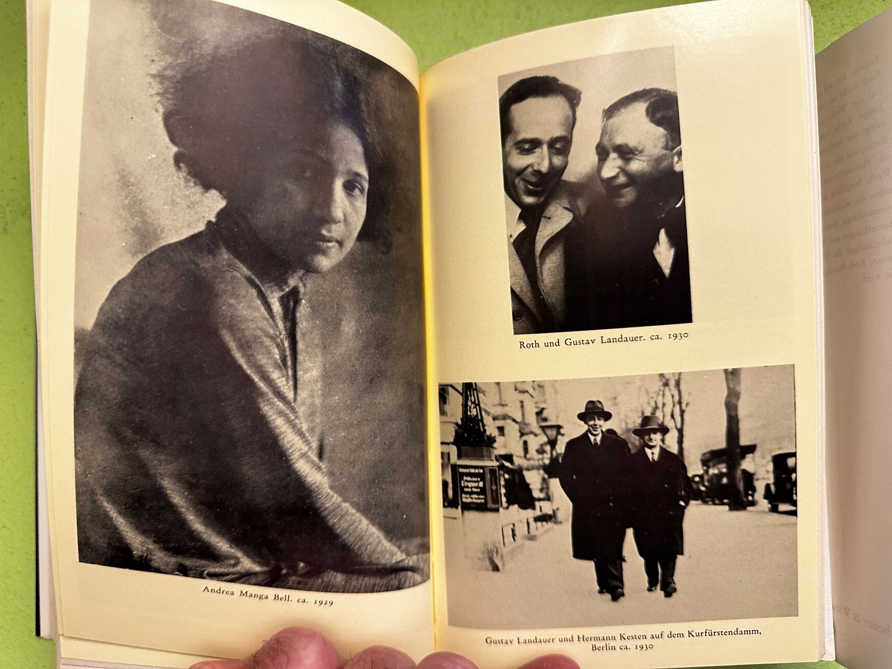 Libri: David Bronsen: Joseph Roth. Eine Biographie. 1974 – Usato da Zürich venduto da allp 8