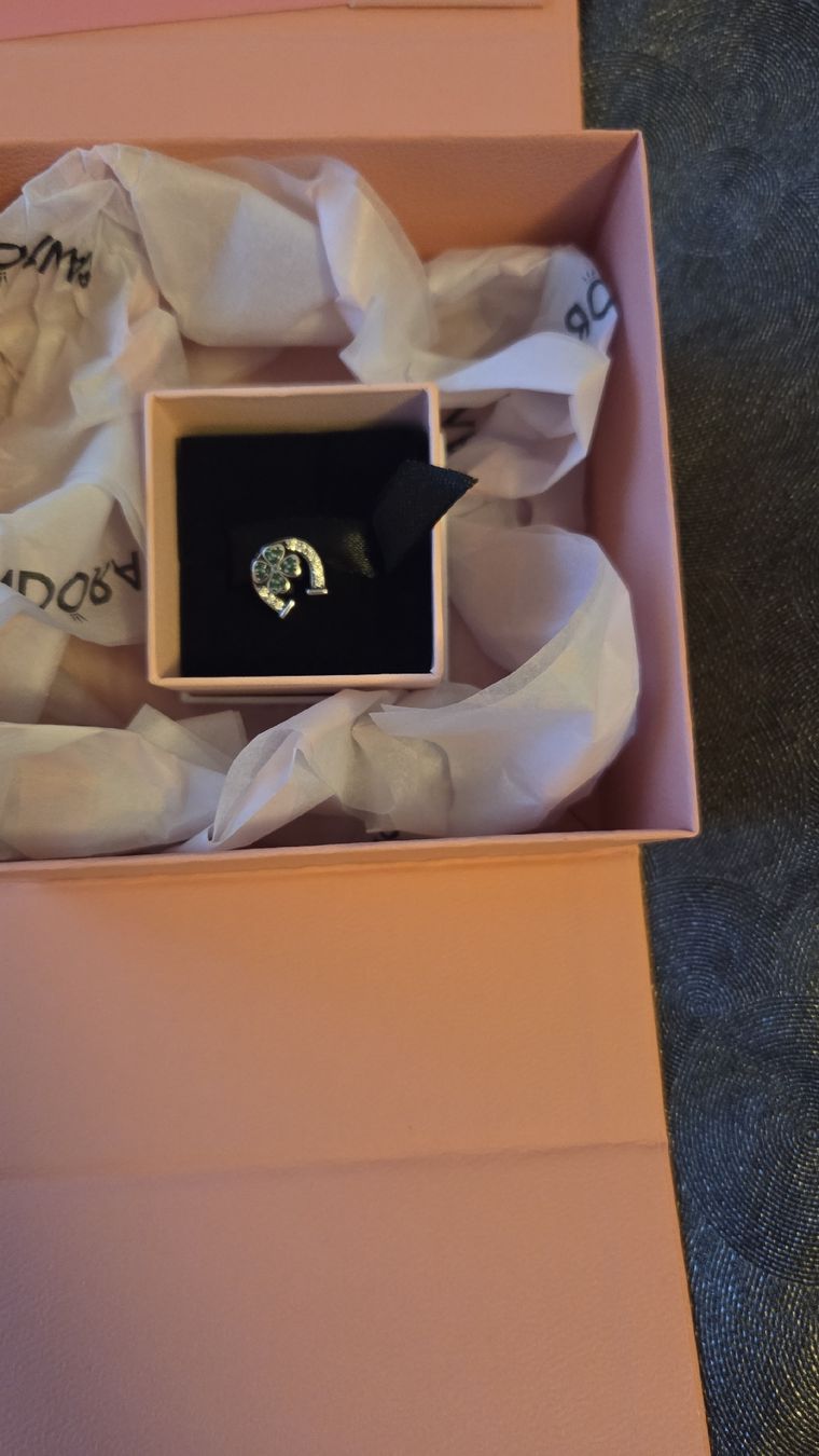 Pandora Armbänder & -reifen: Pandora Charms  – Neu und originalverpackt aus Gossau SG von sar_7vt5
