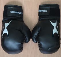 Gants de Boxe Hammer