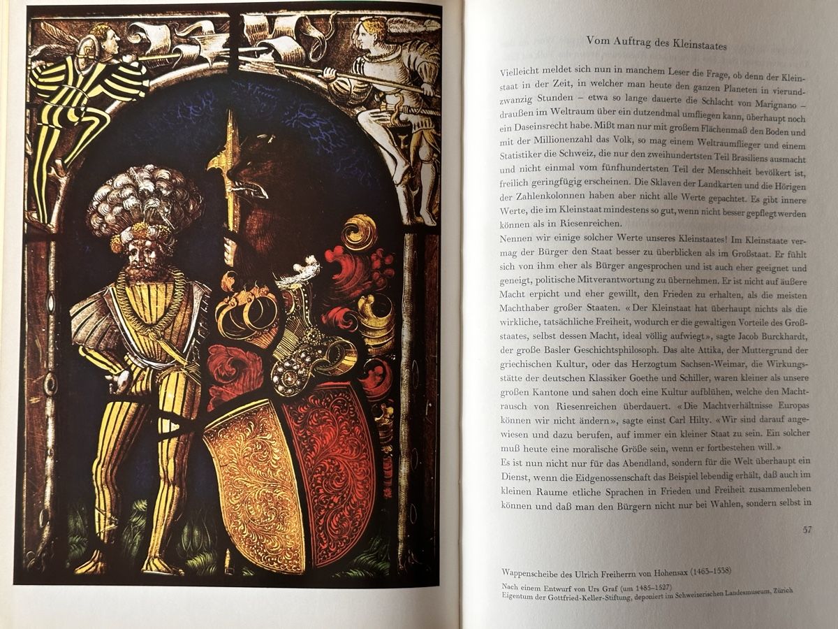 Libri: Spannende Schweizer Geschichte: Marignano 1515 – Usato da Berschis venduto da Vild1 6