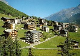 SAAS-FEE Wildi
