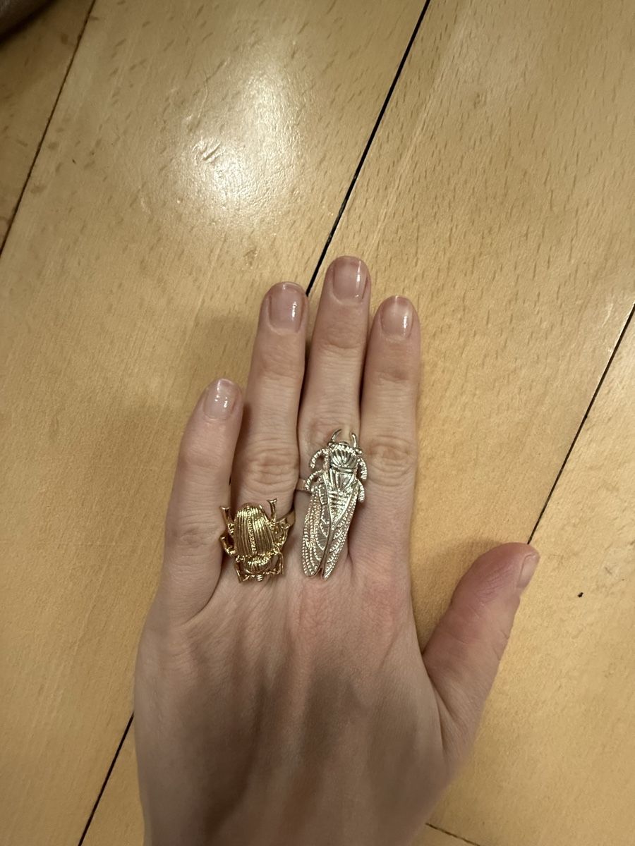 Anelli: 2pc finger ring set beatles/insekten – Nuovo (secondo la descrizione) da Baden venduto da agora_newgeneration 2