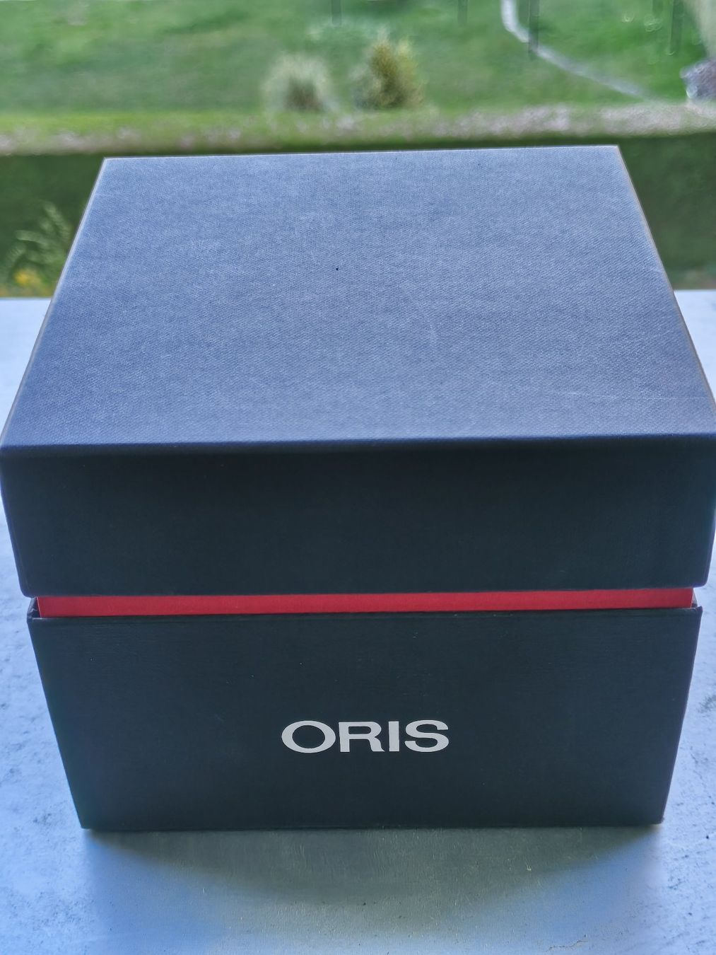 Oris Orologi: Oris Big Crown ProPilot Altimètre – Usato da Plan-les-Ouates venduto da hrapazz 7