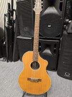 Acoustic Guitar Line 6 Variax Acoustic 300 Steel
