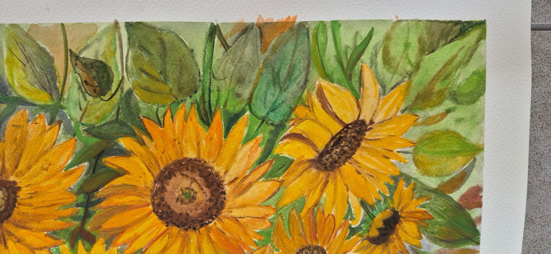 Dipinti: Watercolor sunflower – Nuovo e nell'imballaggio originale da Ebikon venduto da vij_fg72 2