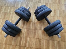 2x12KG Dumbbells / Hanteln / Kurzhanteln