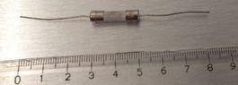 1x Feinsicherung 5x20mm / 250V / 1A / träge