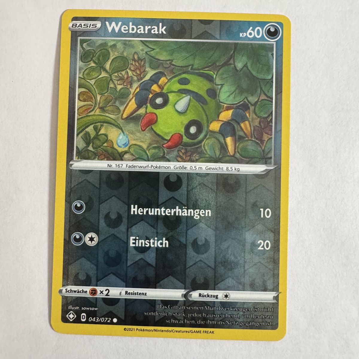 Pokémon Carte collezionabili: Pokémon Spinarak - 43 / 72 - DE – Nuovo (secondo la descrizione) da Staad SG venduto da miaCards